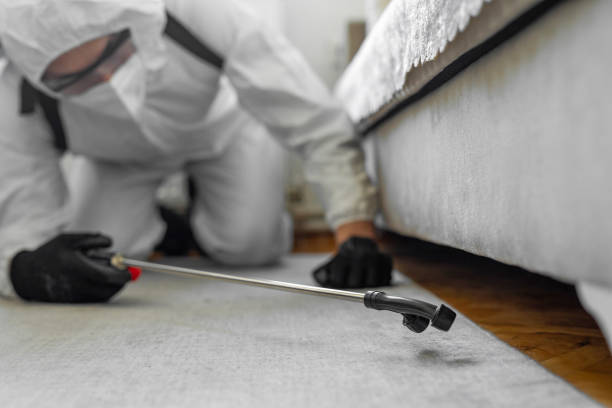 Professional Mosquito Control technician working in Box Elder, SD