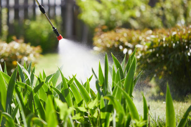 24/7 Emergency Mosquito Control experts in Box Elder, SD